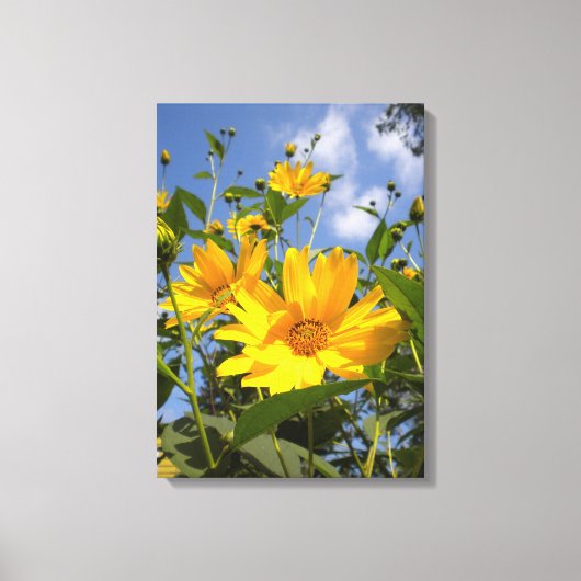 Zonnebloemen N Sky Wrapped Canvas Afdruk (Voorkant)