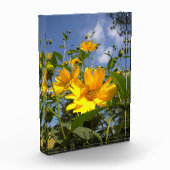 Zonnebloemen N Sky Wrapped Canvas Fotoblokken (Links)