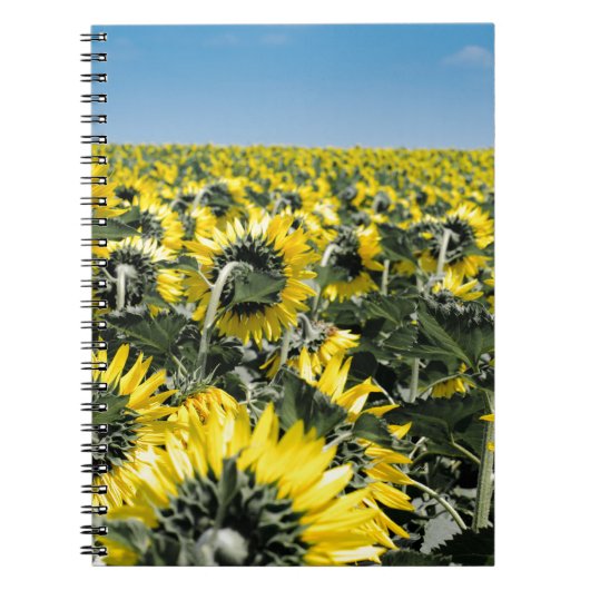 Zonnebloemen Notitieboek (Voorkant)