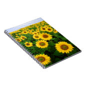 Zonnebloemen Notitieboek (Rechterzijde)