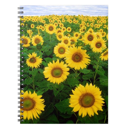 Zonnebloemen Notitieboek (Voorkant)