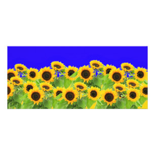 Zonnebloemen - Oekraïne - Vlaggenvrijheid Oekraïne Reclamekaart
