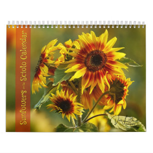 Zonnebloemen op de Scioto Kalender