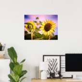 Zonnebloemen op RHS Wisley, Verenigd Koninkrijk Poster (Thuiskantoor)