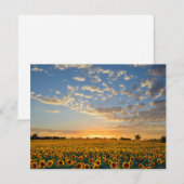 Zonnebloemen op Sunset (Voorkant / Achterkant)