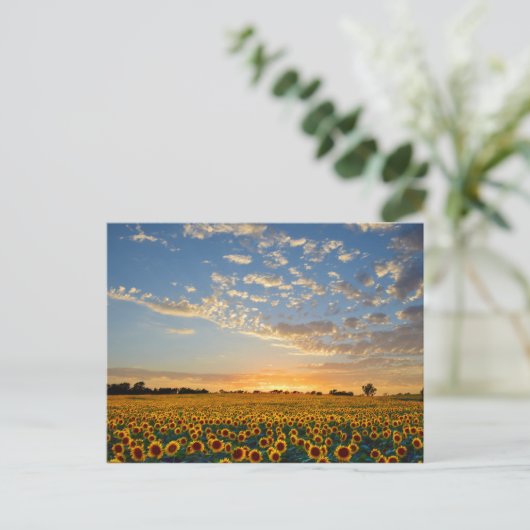 Zonnebloemen op Sunset Briefkaart (Staand voorkant)