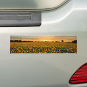 Zonnebloemen op Sunset Bumpersticker (Op auto)