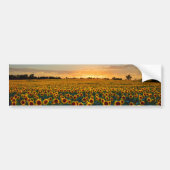 Zonnebloemen op Sunset Bumpersticker (Voorkant)