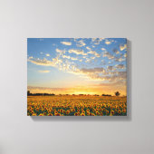 Zonnebloemen op Sunset Canvas Afdruk (Voorkant)