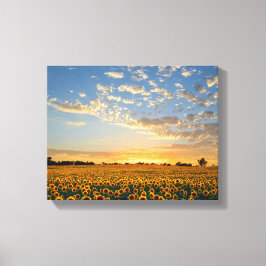 Zonnebloemen op Sunset Canvas Afdruk