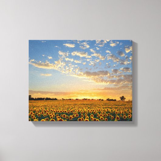 Zonnebloemen op Sunset Canvas Afdruk (Voorkant)