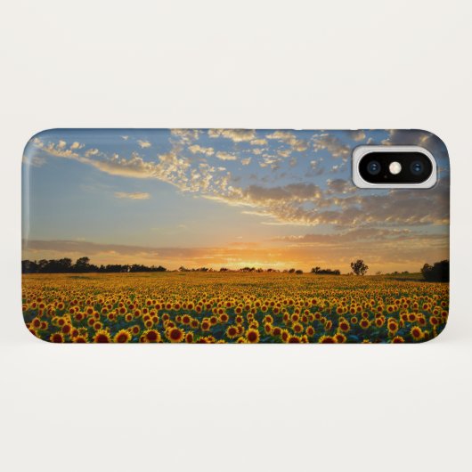 Zonnebloemen op Sunset Case-Mate iPhone Case (Achterkant (horizontaal))