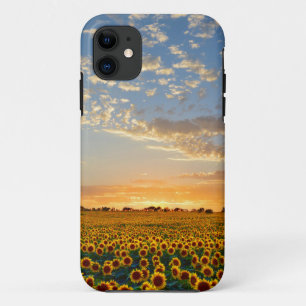 Zonnebloemen op Sunset Case-Mate iPhone Case