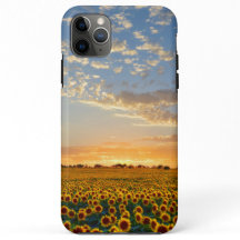 Zonnebloemen op Sunset