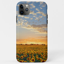 Zonnebloemen op Sunset Case-Mate iPhone Case