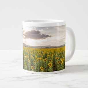 Zonnebloemen op Sunset Grote Koffiekop