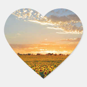 Zonnebloemen op Sunset Hart Sticker