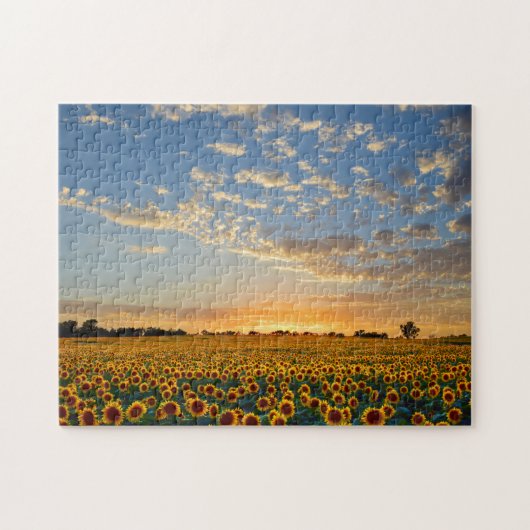 Zonnebloemen op Sunset Legpuzzel (Horizontaal)