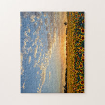 Zonnebloemen op Sunset