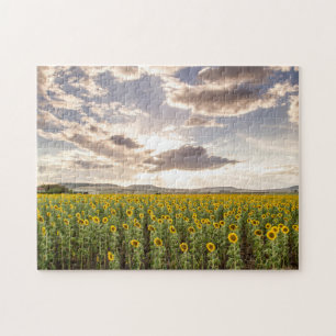 Zonnebloemen op Sunset Legpuzzel