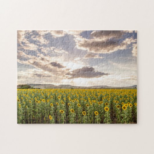 Zonnebloemen op Sunset Legpuzzel (Horizontaal)