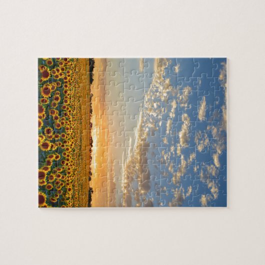 Zonnebloemen op Sunset Legpuzzel (Horizontaal)