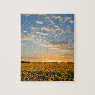 Zonnebloemen op Sunset Legpuzzel