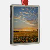 Zonnebloemen op Sunset Metalen Ornament (Rechts)