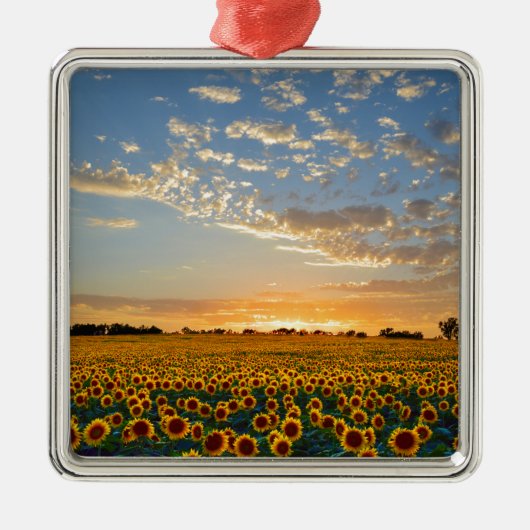 Zonnebloemen op Sunset Metalen Ornament (Voorkant)