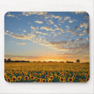 Zonnebloemen op Sunset Muismat