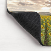 Zonnebloemen op Sunset Muismat (Hoek)