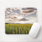 Zonnebloemen op Sunset Muismat (Met muis)