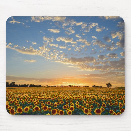 Zonnebloemen op Sunset Muismat (Voorkant)