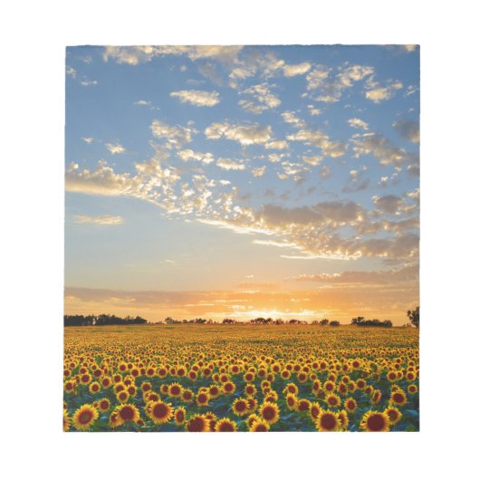 Zonnebloemen op Sunset Notitieblok (Voorkant)