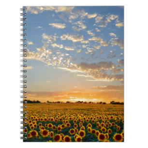 Zonnebloemen op Sunset Notitieboek