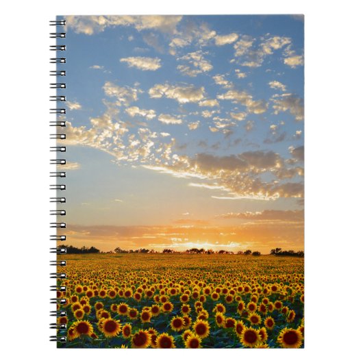 Zonnebloemen op Sunset Notitieboek (Voorkant)