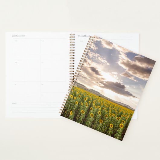Zonnebloemen op Sunset Planner (Display)
