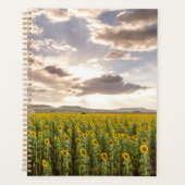 Zonnebloemen op Sunset Planner (Voorkant)