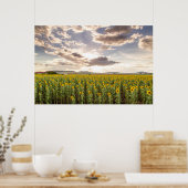 Zonnebloemen op Sunset Poster (Keuken)