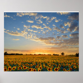 Zonnebloemen op Sunset Poster