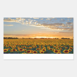 Zonnebloemen op Sunset Rechthoekige Sticker