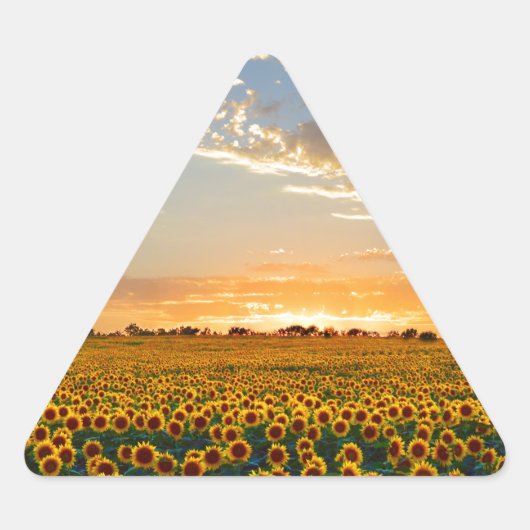 Zonnebloemen op Sunset Sticker (Voorkant)
