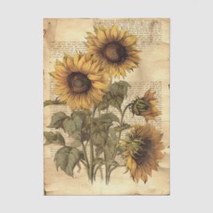 Zonnebloemen op versleten stijl perkament met schr tissuepapier