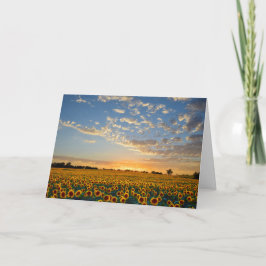 Zonnebloemen op zonsondergang kaart