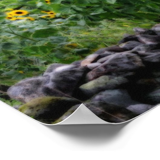 Zonnebloemen, orton-effect poster (Hoek)