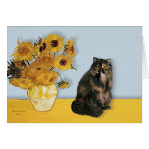 Zonnebloemen - Perzische Calico-kat