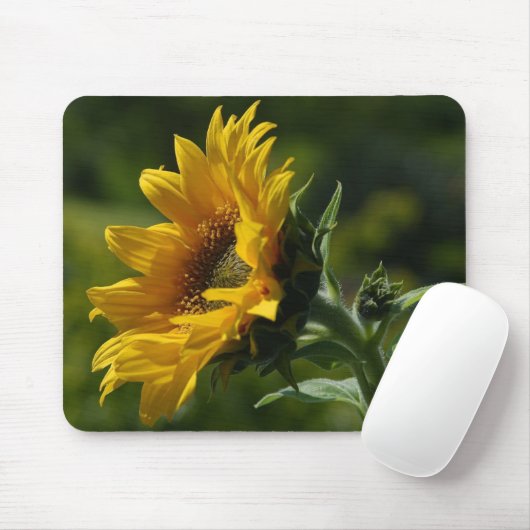 Zonnebloemen Petals Pollen Yellow Muismat (Met muis)