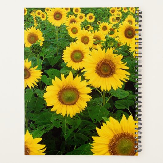 Zonnebloemen Planner (Achterkant)