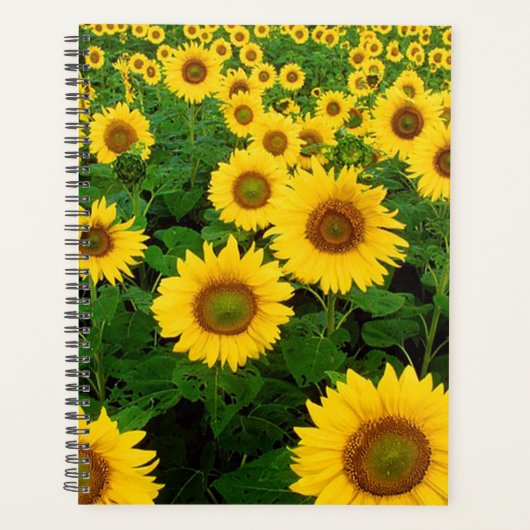 Zonnebloemen Planner (Voorkant)