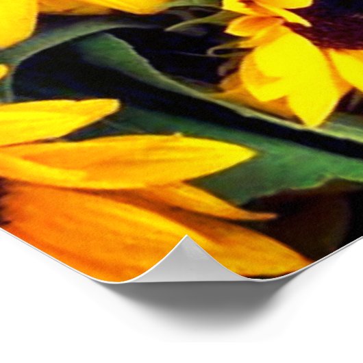 Zonnebloemen Poster (Hoek)